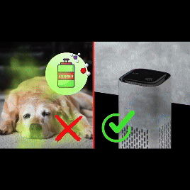 foto 4.gif__PID:df9fa43c-4d9c-4e15-bf7c-c0e3379beb8b